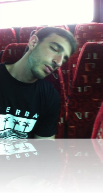 rodortbus