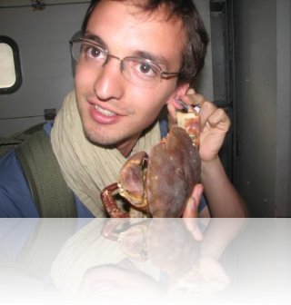 dam-crabe