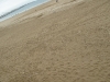 pliz-2011-131-copier